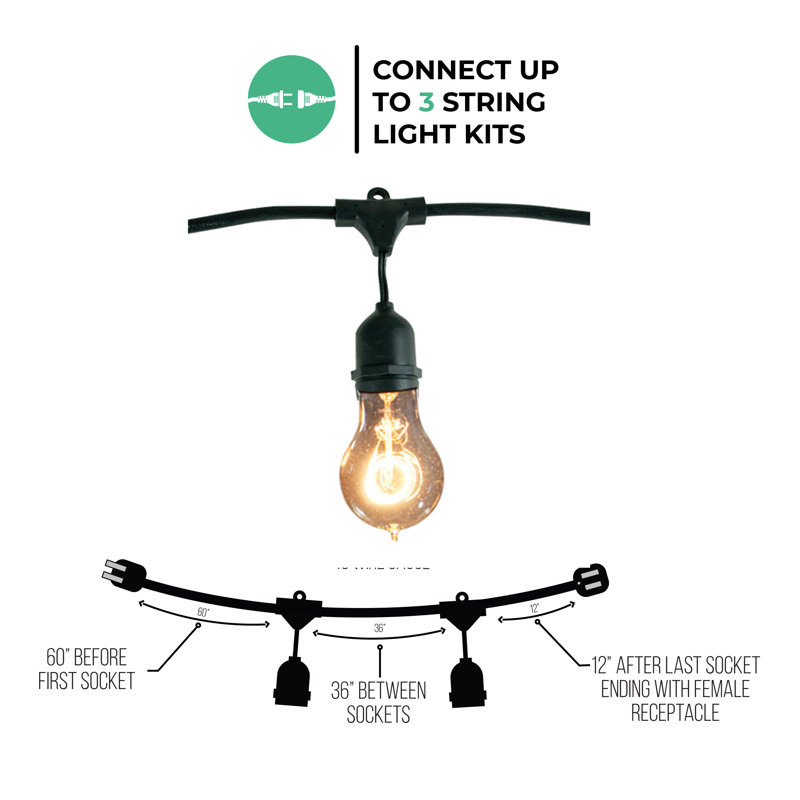 Jothan 48-ft Outdoor 15 - Bulb Standard String Light (End to End Connectable)