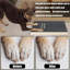 Grattoir pour chien
