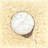 Sand-dollar - 32"x32" art on canvas