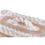 Nautilus Resin Decorative Box