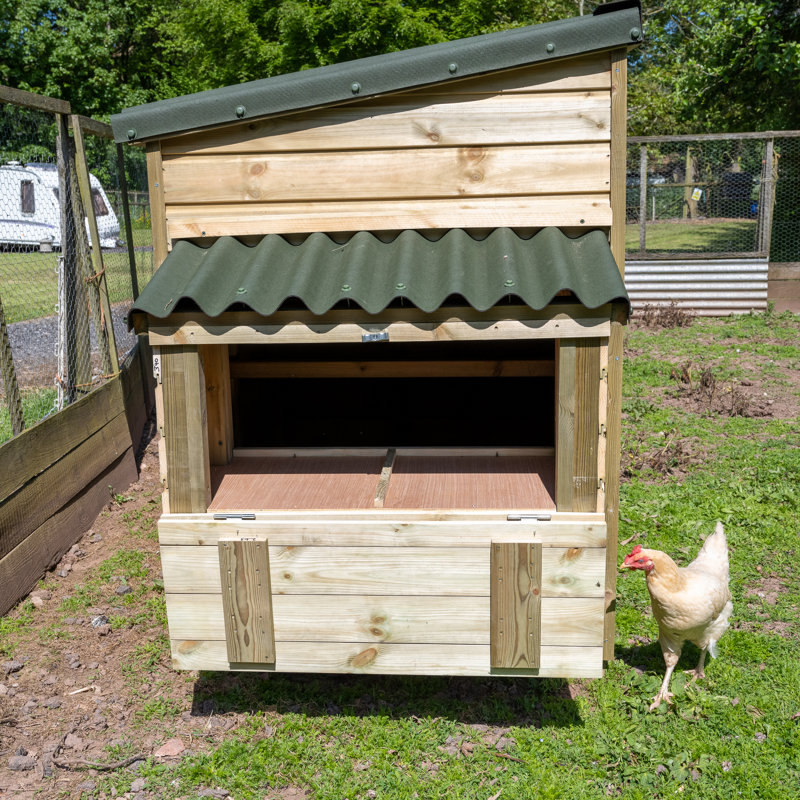 Chicken Coop