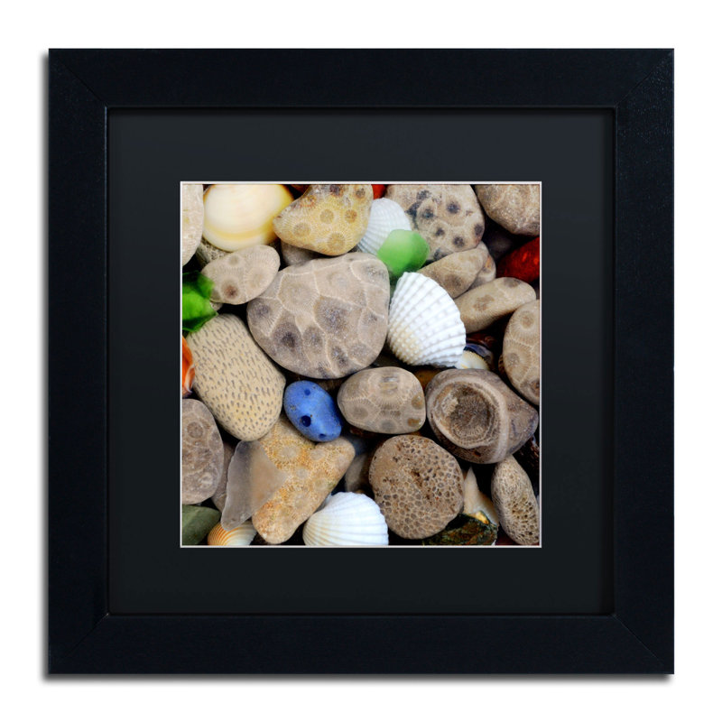 «Machos PetoskeyStone V» par Michelle Calkins, reproduction d'art encadrée, H 11 po x l 11 po, Noir