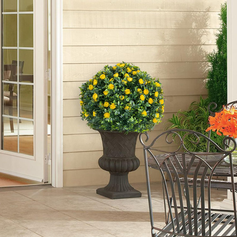Arrangement, Yellow