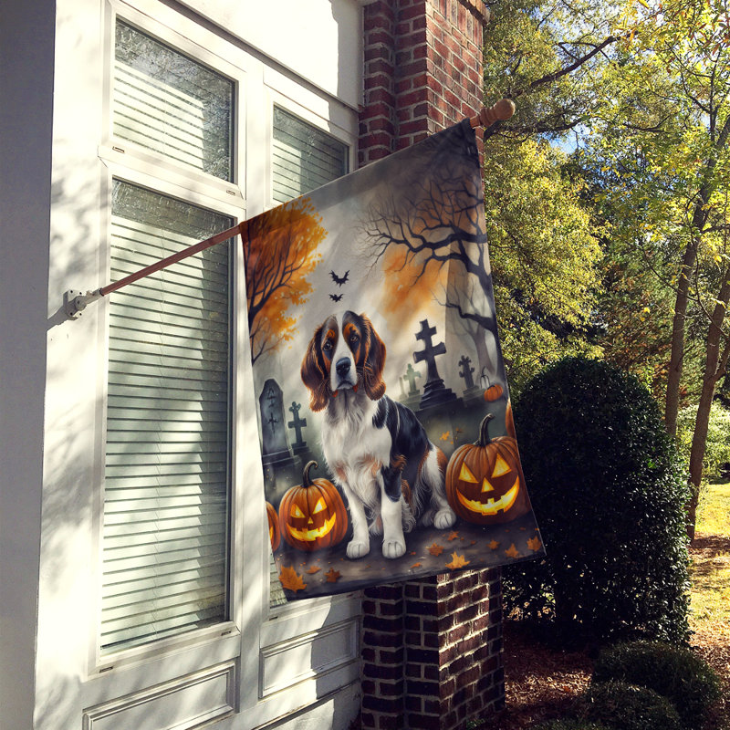 Double Sided 40'' H x 28'' W Polyester Halloween House Flag