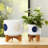 Stoneware and Ceramic Planter Set with Bamboo Stands - Modern Decorative Indoor Planters - Contemporary Geometric Design - Set of 2-996206073-944914616