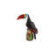 Amazonie - Toucan