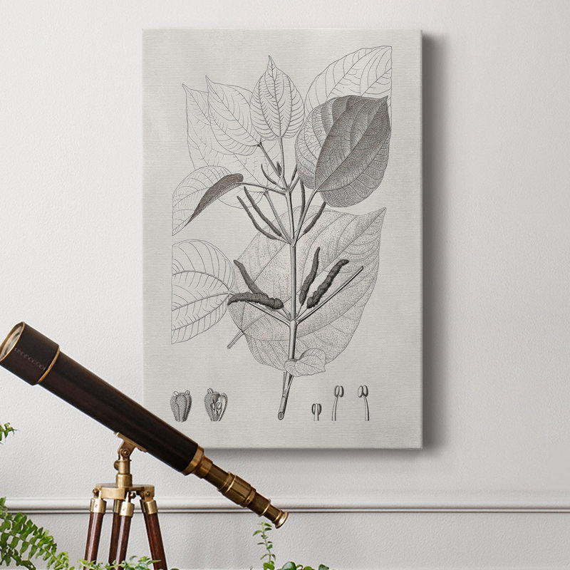 «Vintage Leaves III», reproduction sur toile tendue, H 36 po x l 24 po x P 1 po