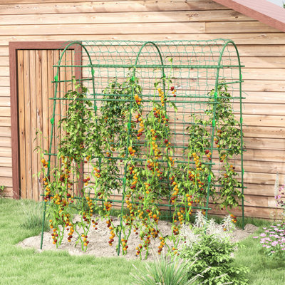 Cucumber Trellis, 6.8' Tall Arch Trellis For Outdoor Climbing Plants, Support Zucchini, Grapes And Other Vines Vegetables, 81" High, , Plastic Coated Steel Frame Net
