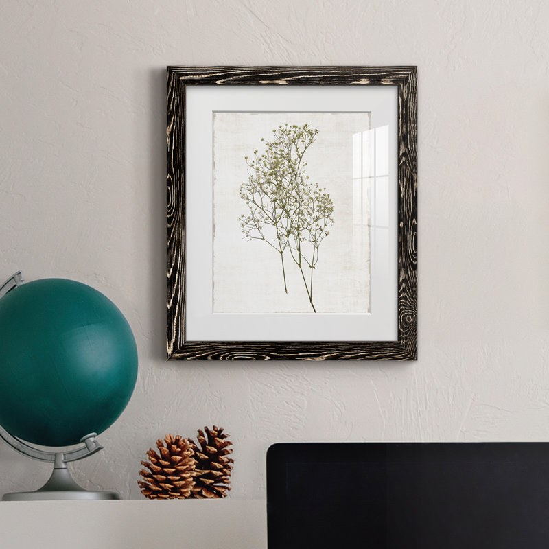Farmhouse Pressed Flower I - peinture encadrée, H 20 po x l 17 po x P 1,5 po, Cadre noir