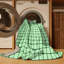 Indoor Rug-889924522