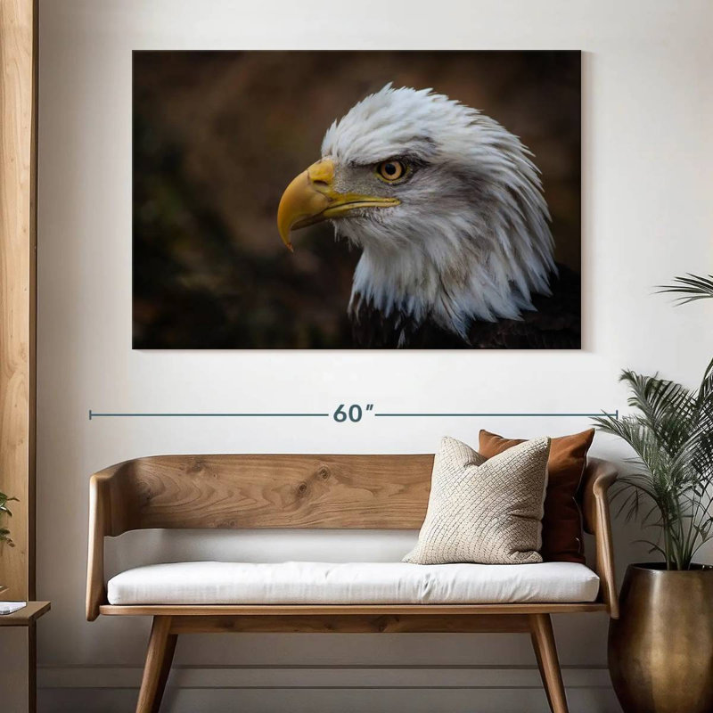Brampt Bald Eagle Gaze, 34" H x 51" W