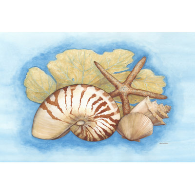Seashells & Seafan I - Wrapped Canvas Art Print
