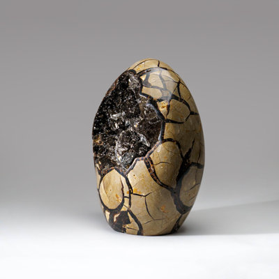 Polished Septarian Home Décor Geode Egg 