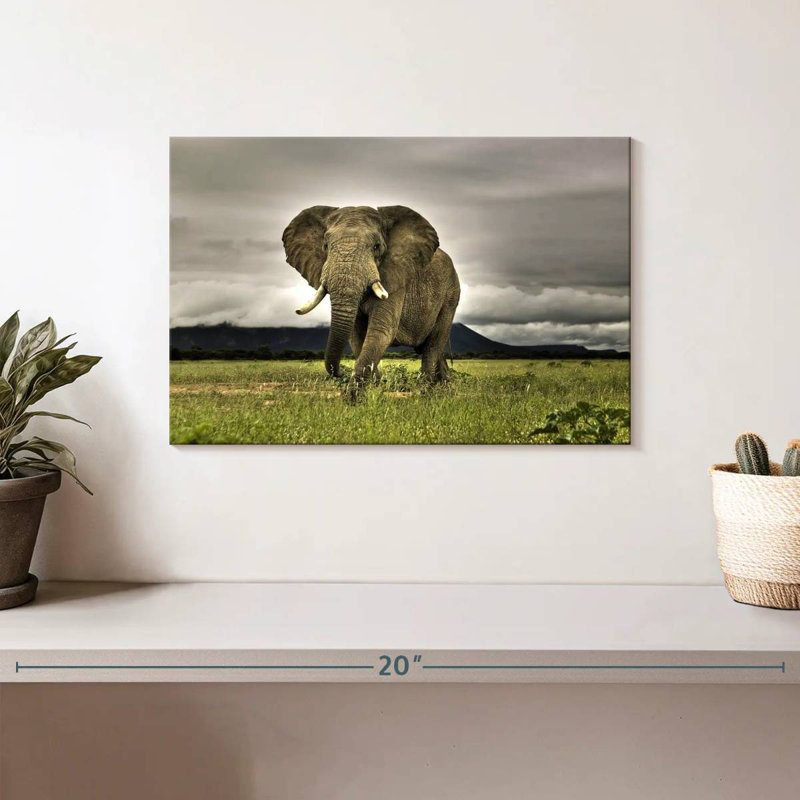 Paysage d'éléphants Brampt, H 8 po x l 12 po