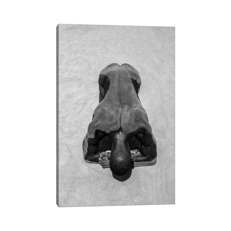 Sandy Back 1 Piece Wall Art on Canvas, 66.04cm H x 45.72cm W x 3.81cm D, Wrapped Canvas