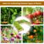 Outdoor Raised Garden Bed