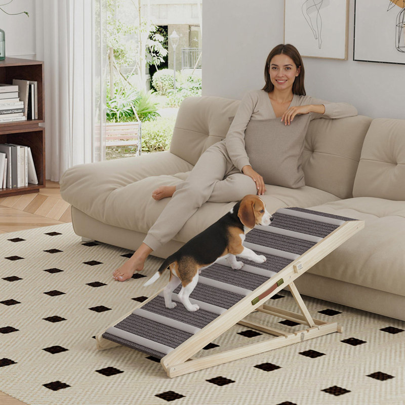 Rampe pliable pour petit et grand chien