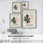 Matisse CECLI, reproduction d'art encadrée - bois massif-2138473157