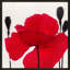 Red Poppy 2 Print by Ivo Stoyanov-564473833-564473832