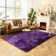 Faux Sheepskin Indoor Rug