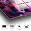 Boze Accent on Tempered Glass