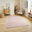 Zaid Area Rug-1006004272