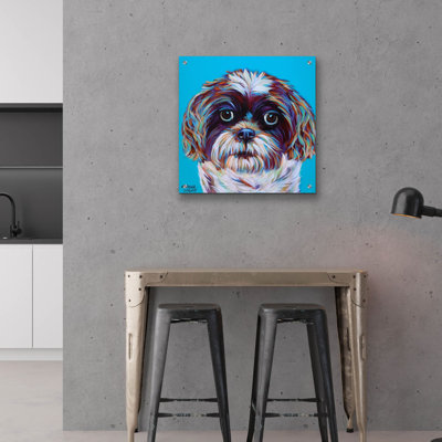 'Shih Tzu On Blue' by Carolee Vitaletti Acrylic Glass Wall Art