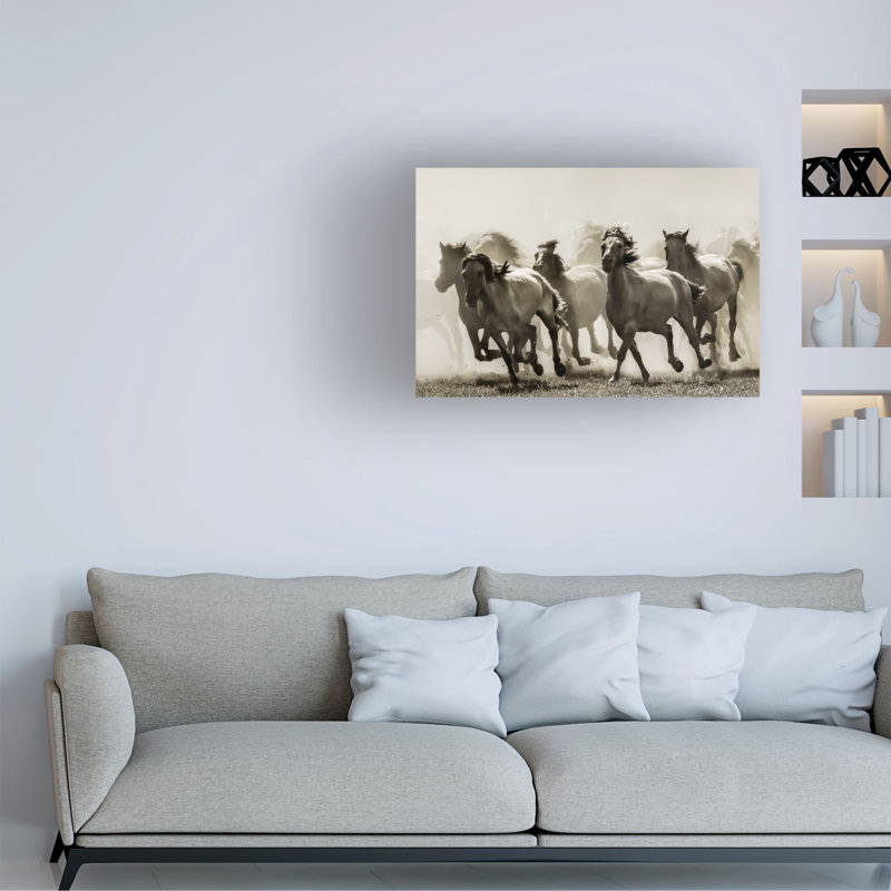 « cheval », reproduction de photo sur toile tendue, 16 po x 24 po