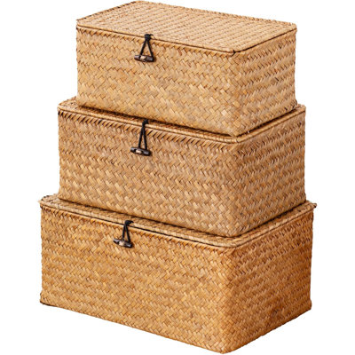 Paniers de rangement en ruppie maritime tissés à la main avec couvercles, ensemble de 3 boîtes de rangement rectangulaires polyvalentes pour la décoration intérieure et l'organisation de la maison