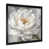 Black Picture Framed