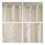 Fenêtre de palmier Burnout-728344379