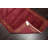 Oriental Indoor Rug