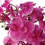 60cm Faux Plant in Ceramic Pot-1154877751-1154877748