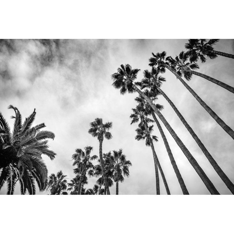 Palm Trees by GaryKavanagh - Wrapped Canvas Print, 51cm H x 76cm W x 3.8cm D