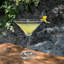 Woodbury Martini