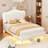 Mikhale Modern Velvet Platform Bed with Tufted Headboard and LED Lights-652577052-623864343