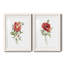 Pivoine écarlate - ensemble de 2 reproductions d'art-1707268031-1707268025-1707268024