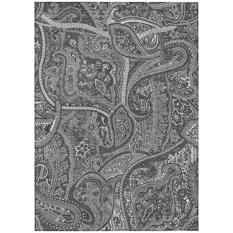 Itzayani Paisley Rug
