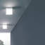 Dido 2-Light Flush Mount