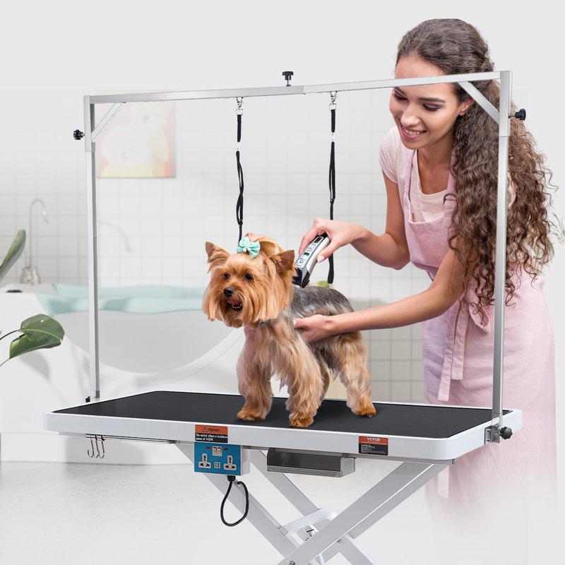 White Adjustable Stainless Steel Electric Pet Grooming Table