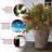 Colonial 18" Artificial Cedar Plant