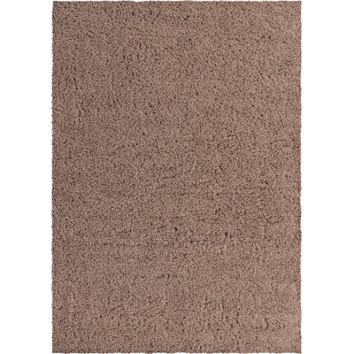Indoor Rug
