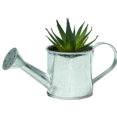 Mini plante grasse artificielle 6 po avec arrosoir