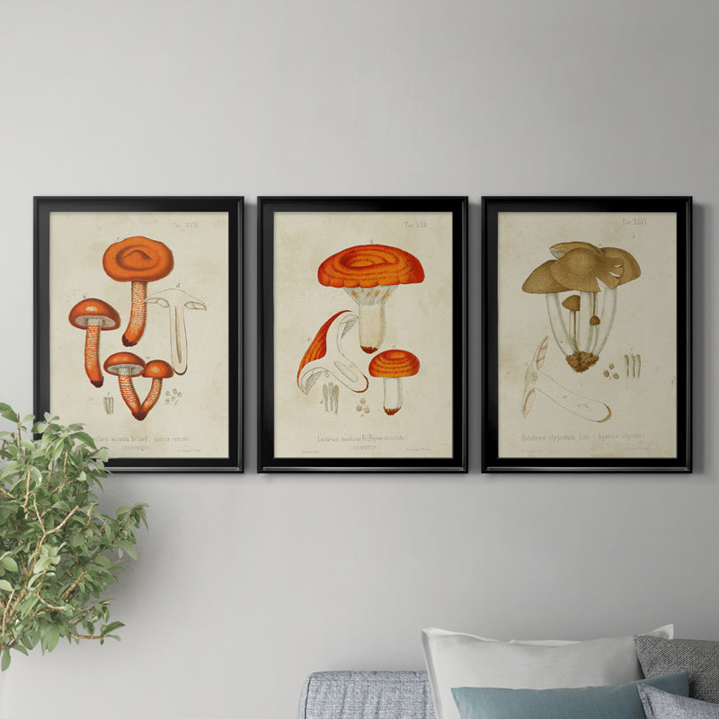 «Mushroom Variétés IV», reproduction encadrée de qualité supérieure - prête à être accrochée, H 36,5 po x l 79,5 po x P 1 po