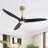 Antinisha 52'' 3-Blade Propeller LED Ceiling Fan with Light Kit and Remote Control-213224150