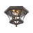 Dufton 2-Light Flush Mount-20605659-20605655
