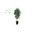 54'' Faux Ficus Tree in Metal Planter-1567209244