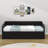 Naoise Twin Daybed with Trundle-145666173