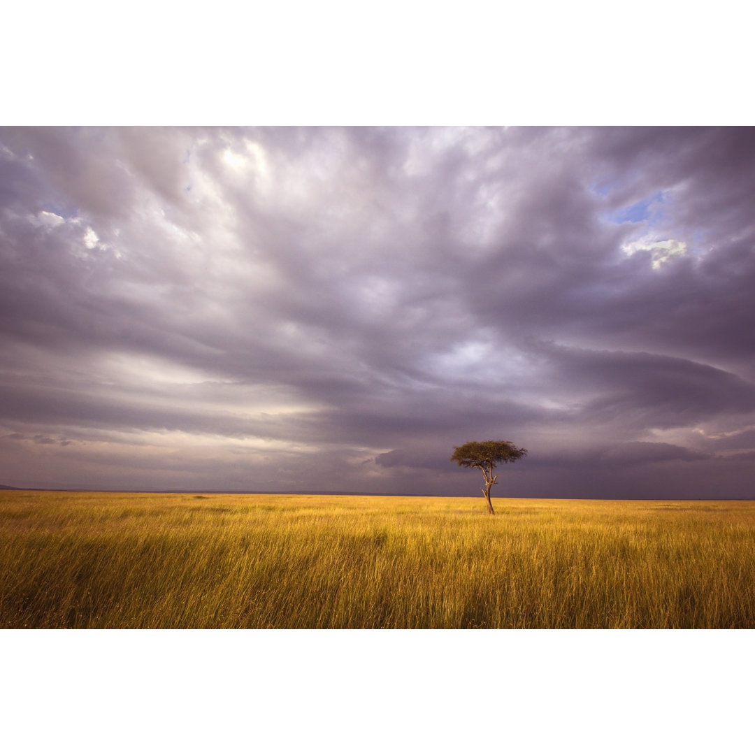 Afrika Landschaft von WLDavies - Kunstdrucke auf Leinwand ohne Rahmen