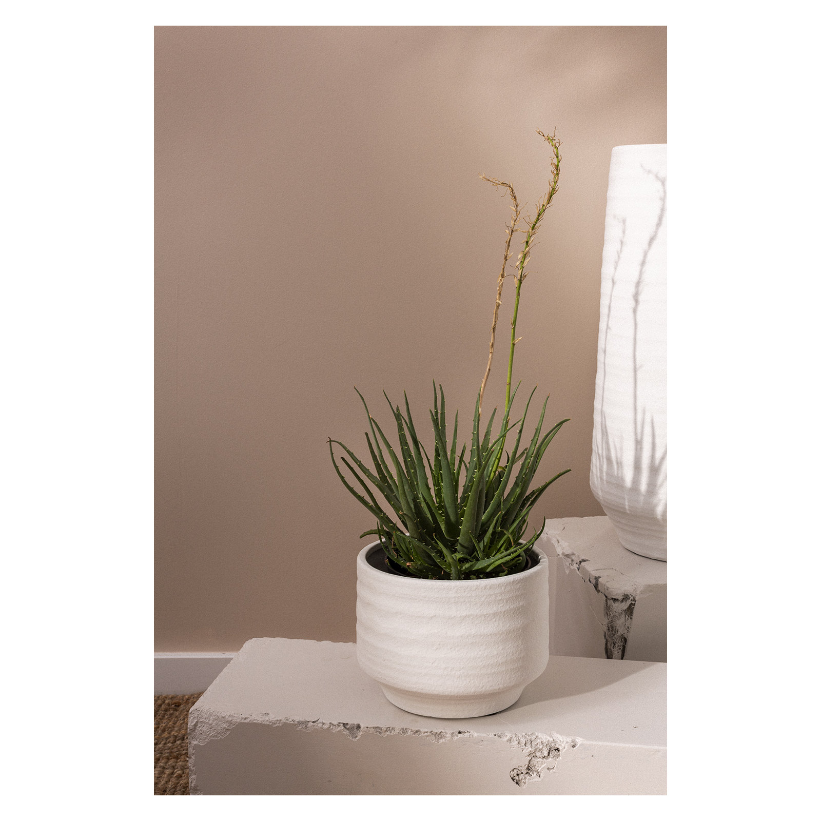 Canella Handmade Concrete Pot Planter, 6" H x 7.5" W x 7.5" D